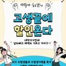 감성 피티 이미지