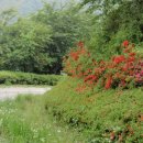 해오름길 이미지