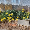 달래농장 이미지