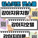 킹스키즈 개린이집 네이버블로그