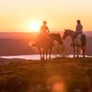 백야농장 이미지