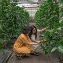 손별농장 이미지