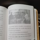 홍코딩 이미지