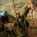 벌과 사람 이미지