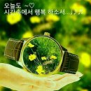 행복이있는곳