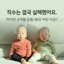 참좋은보조기 | 이른둥이 모유수유 후기｜쌍둥이 유축 6개월 유지, 직수 실패 현실 경험