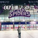 흥국생명 | 흥국생명 여자배구 시즌 삼산체육관 예매 카페 실내데이트