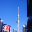 D SKY PC CAFE | [일본 워홀] D+278~284 오빠 도쿄 5박6일 가이드가 돼.. 현지인이 말아주는 도쿄 관광 어때?