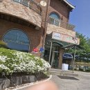 산골연잎장어 이미지