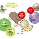 퀸즈헤나교실 이미지