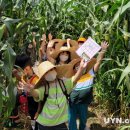 옥수병설유치원 이미지