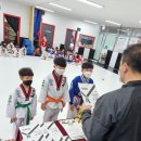 늘푸른효태권도장 이미지