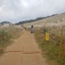 제주시간여행 휴양펜션 이미지