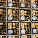 한림대학교 글로벌협력대학원 이미지