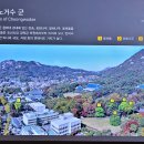 베이트리 이미지