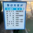 버거왕만두