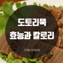 도토리묵 칼로리 도토리 이미지