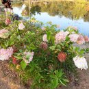 연희목장 이미지