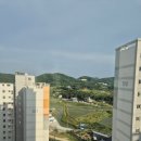 무지개부동산중개 | 지방 부동산 매도 경험 후기(feat. 초보용 소소한 팁)