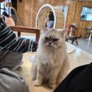 집사의하루 노원점 이미지