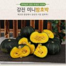 청정푸드팜 이미지