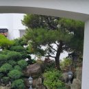 신고궁한정식 이미지