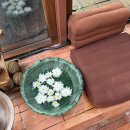 센스(Sense) | 치앙마이 마사지 추천! 센스마사지 Sense Massage &amp; Spa 후기