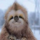 비아이태리 이미지