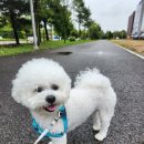 더쿠