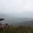 삼비산농장 이미지