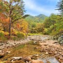 설악산 단풍놀이(누구를 원망하리!) 이미지