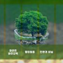 화이트 바이오텍 이미지