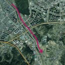 영서상회 | 원주천 벚꽃 언제 가야 예쁠까? 실시간 개화 후기