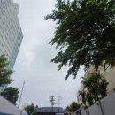 채움치과기공소 이미지