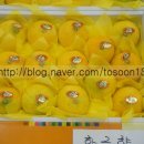 주원(2)농장 이미지