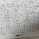 수원 광교/영통/망포 슈퍼맘 산후도우미 추천 후기 (반려견 동반)