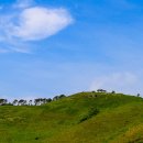 진산목장 이미지