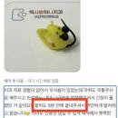 [사랑니 Q&A] - 5가지 핵심. 12년간 가장 많았던 질문들