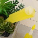 사안농장 이미지