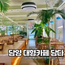 담양을담다 | 담양 대형카페 담다 죽녹원 근처 주차공간 넉넉한 카페추천