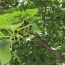 다찌스테이 이미지