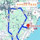 ①대륜고25기 2024년 부산야유회 “부산(釜山) 태종대(太宗臺)” – 2024.11.24 이미지