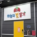 아이별 | 수원 근교 화성 하늘의별딸기 아이와 딸기체험 후기