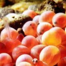 이야기가있는바다 이미지