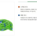 스프링데일CC 이미지