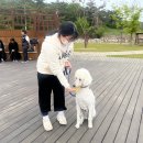 만경여자고등학교 이미지