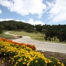 느랭이골자연리조트 이미지