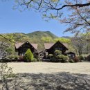 통나무숲속마을 | 밀양 통나무 숲속마을 /밀양바베큐펜션 /밀양여행 /밀양펜션 /바베큐펜션 <내돈내산 후기>