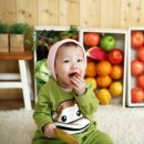 포포나무스튜디오 네이버블로그