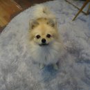 네일 수 이미지